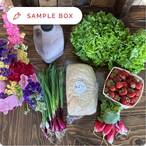 Winter large farm box saple