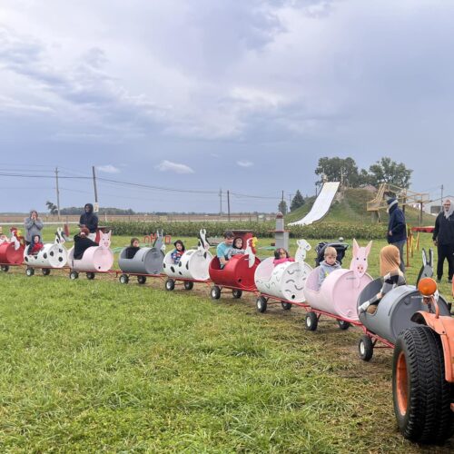 Barrel train 2025