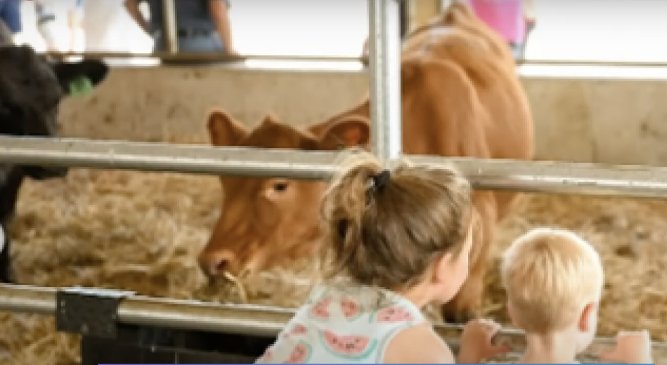 Enjoy over 30 Barnyard Fun Adventures!