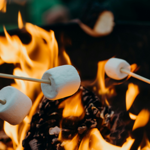 campfires-1024×614-1
