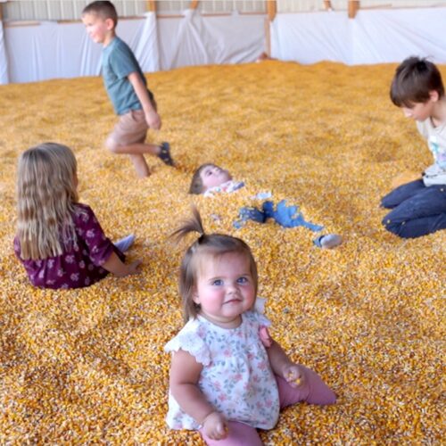 corn-barn