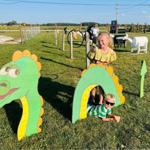 dragon-play