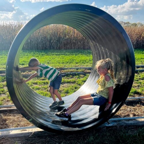 gerbil-wheel