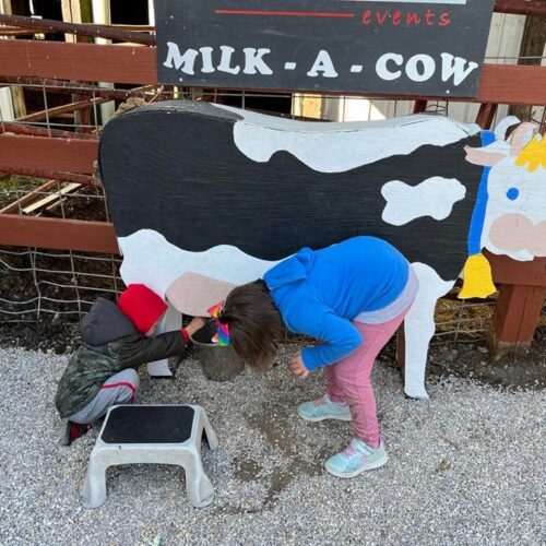 milk-a-cow