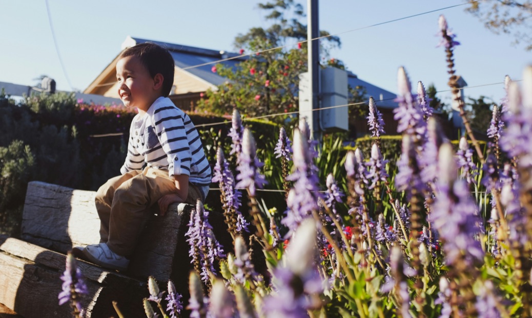 boy in lavendar field