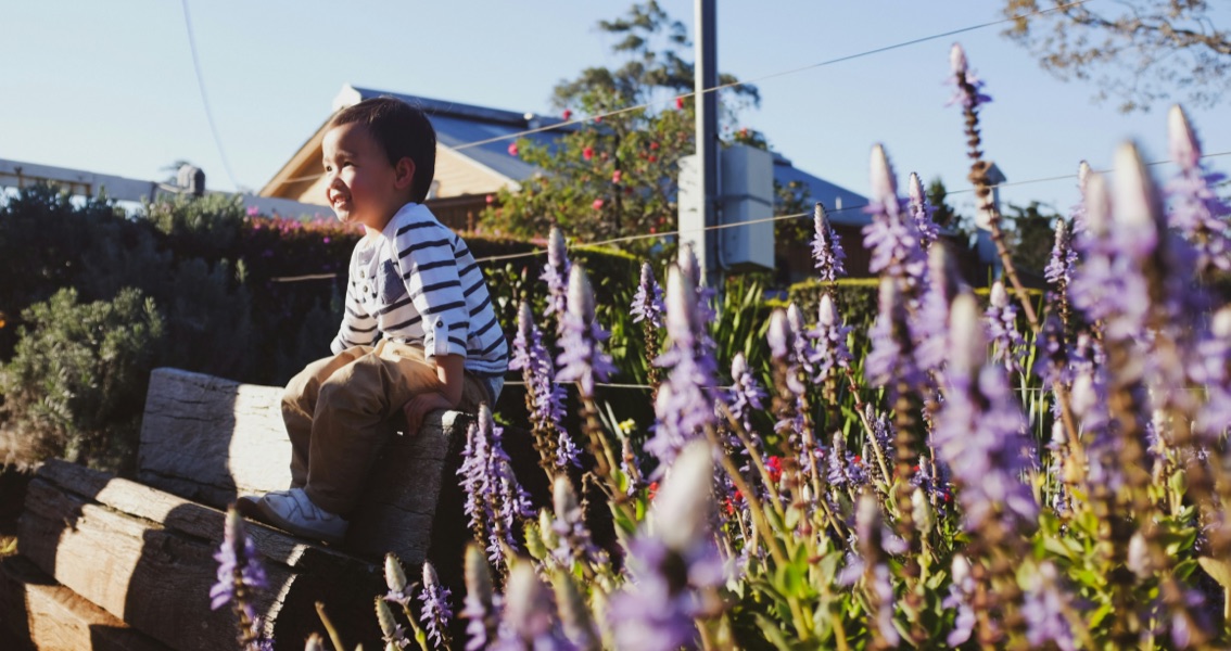 boy in lavendar field